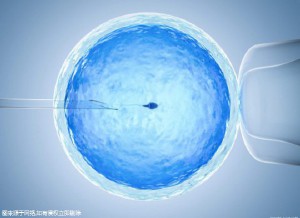 光愈生殖医学中心环境